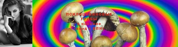 бутик Новодвинск