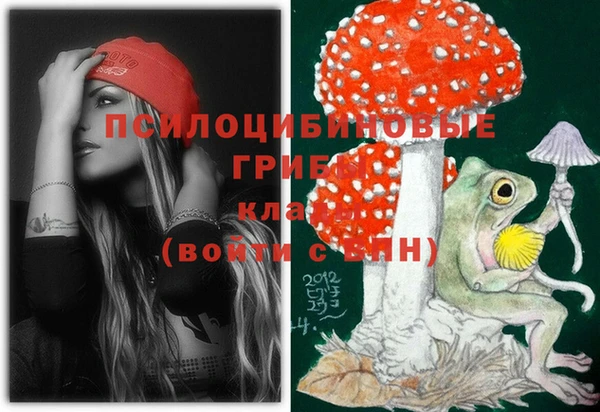 экстази Новозыбков