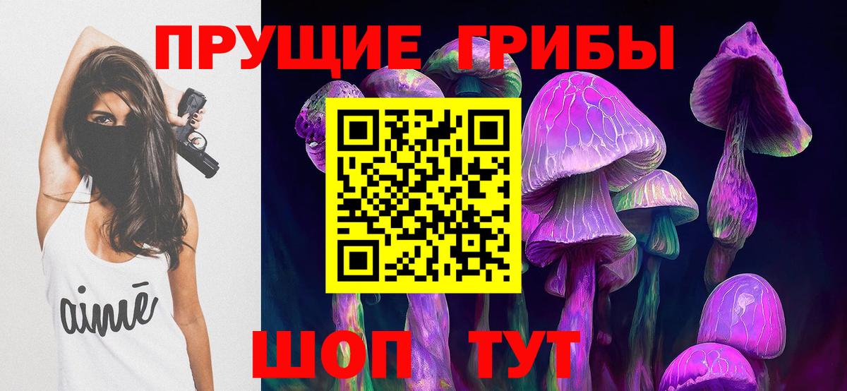 Галлюциногенные грибы прущие грибы  Вход с VPN  Баксан 