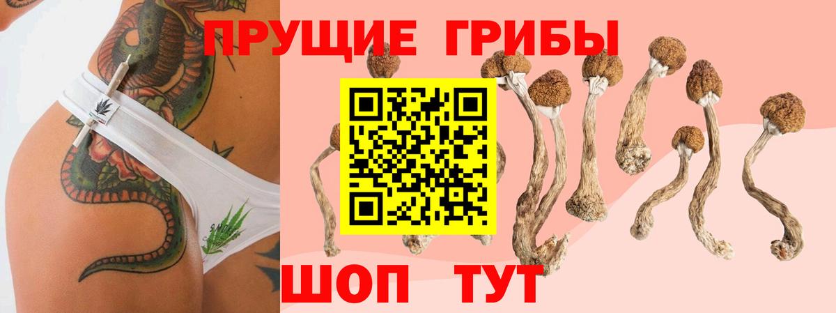 Псилоцибиновые грибы Magic Shrooms  Галлюциногенные грибы мухоморы  Баксан 